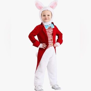 White Rabbit Alice in Wonderland Costume
